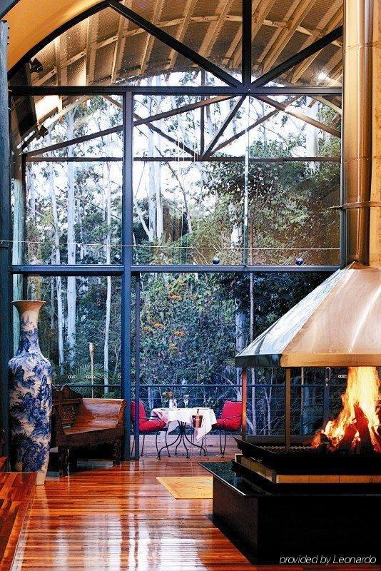 Pethers Rainforest Retreat Bed & Breakfast Mount Tamborine