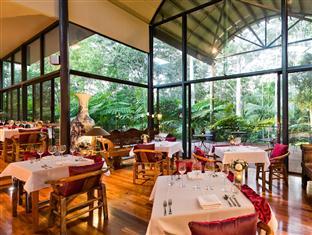 Pethers Rainforest Retreat Bed & Breakfast