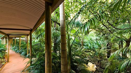 Pethers Rainforest Retreat Bed & Breakfast