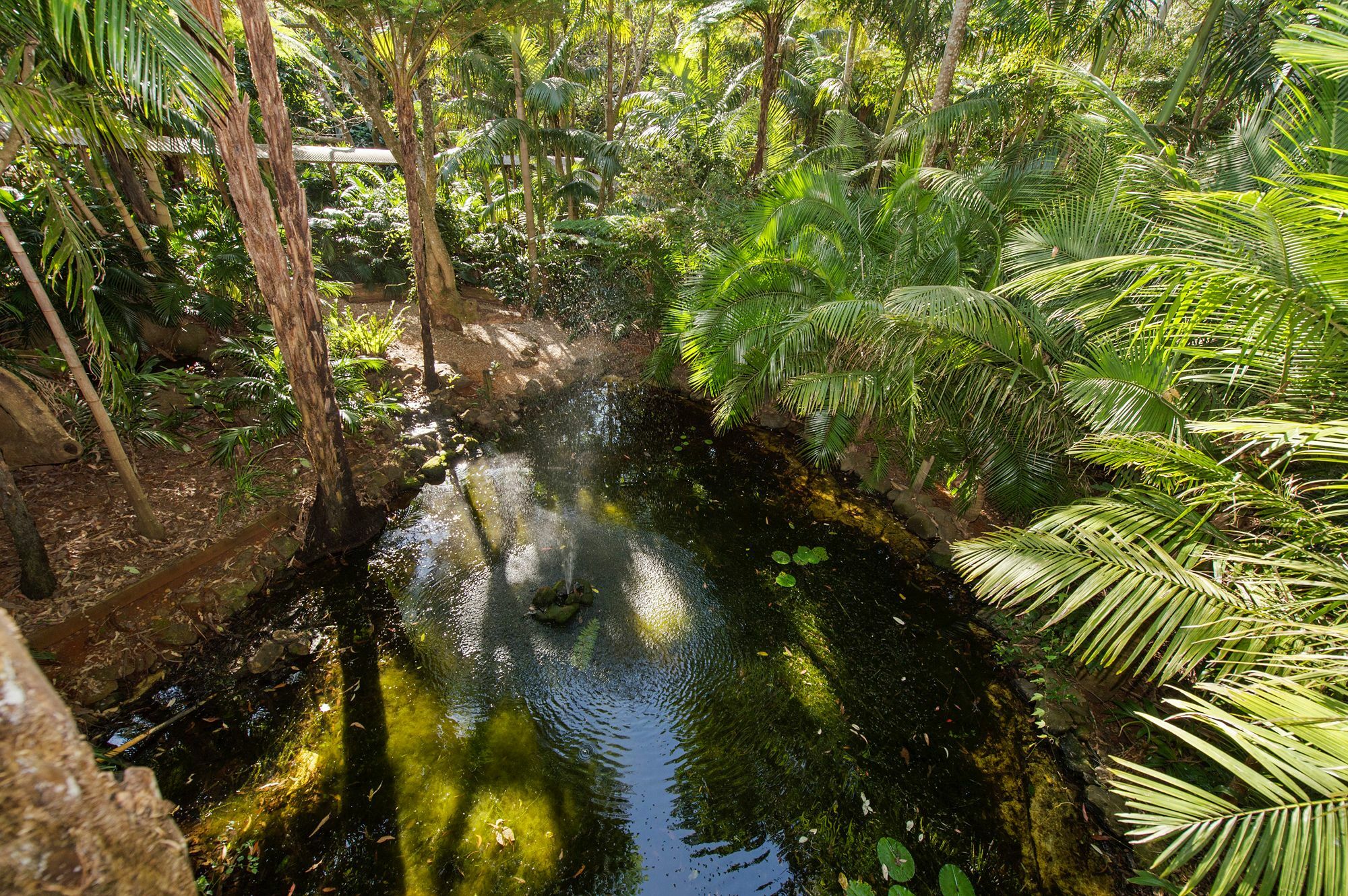 Pethers Rainforest Retreat 5*