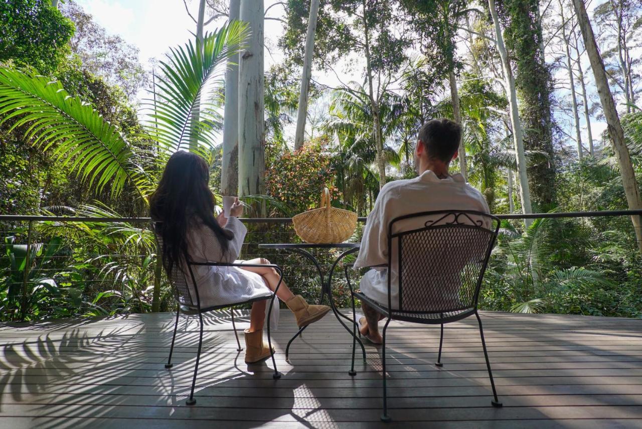Pethers Rainforest Retreat 5* Mount Tamborine